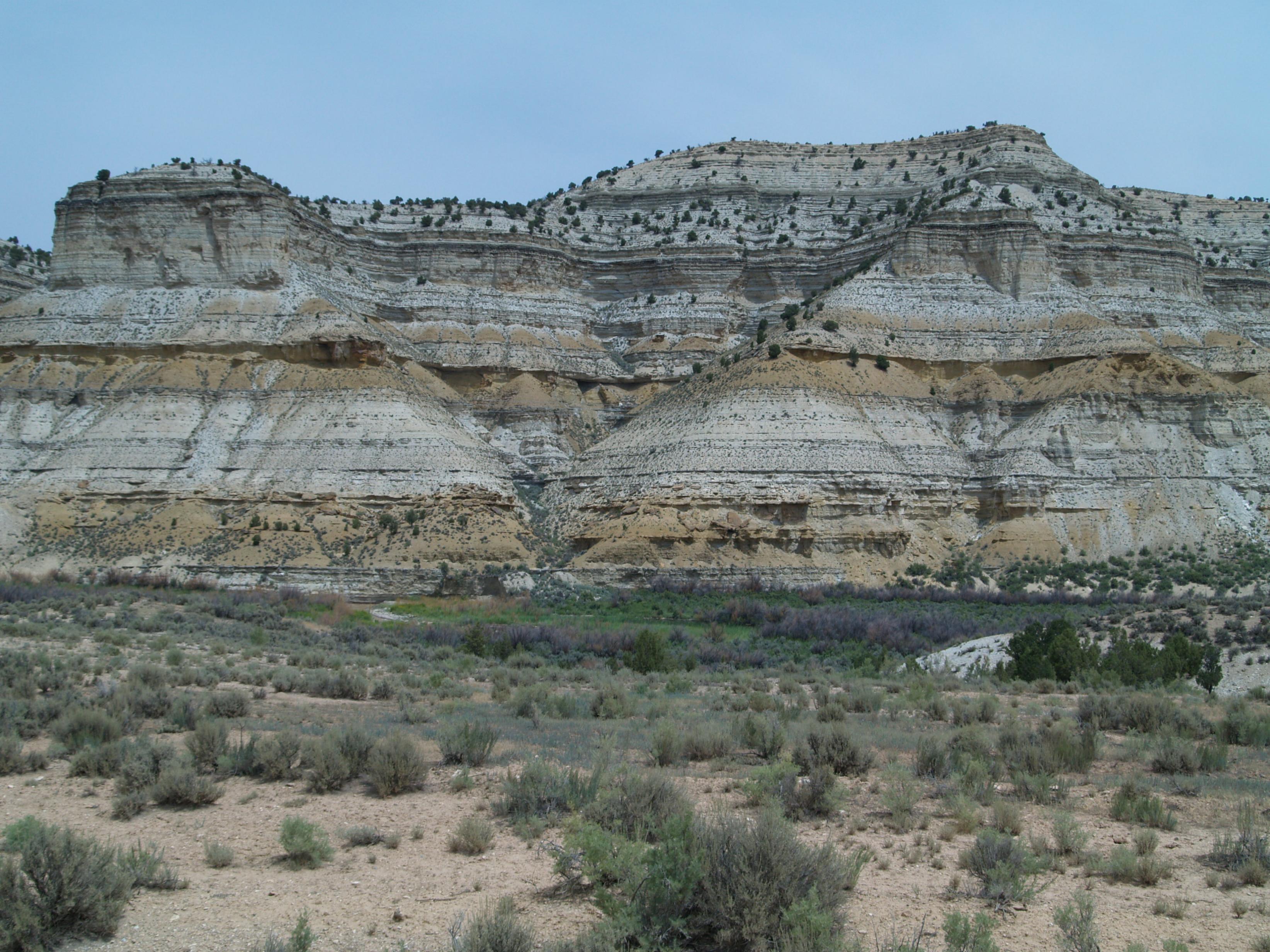 Sedimentary Geology and Paleontology Earth & Environmental Sciences
